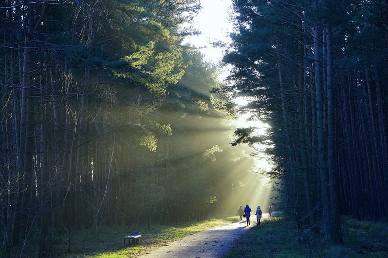Connect with Nature